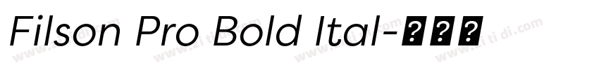 Filson Pro Bold Ital字体转换